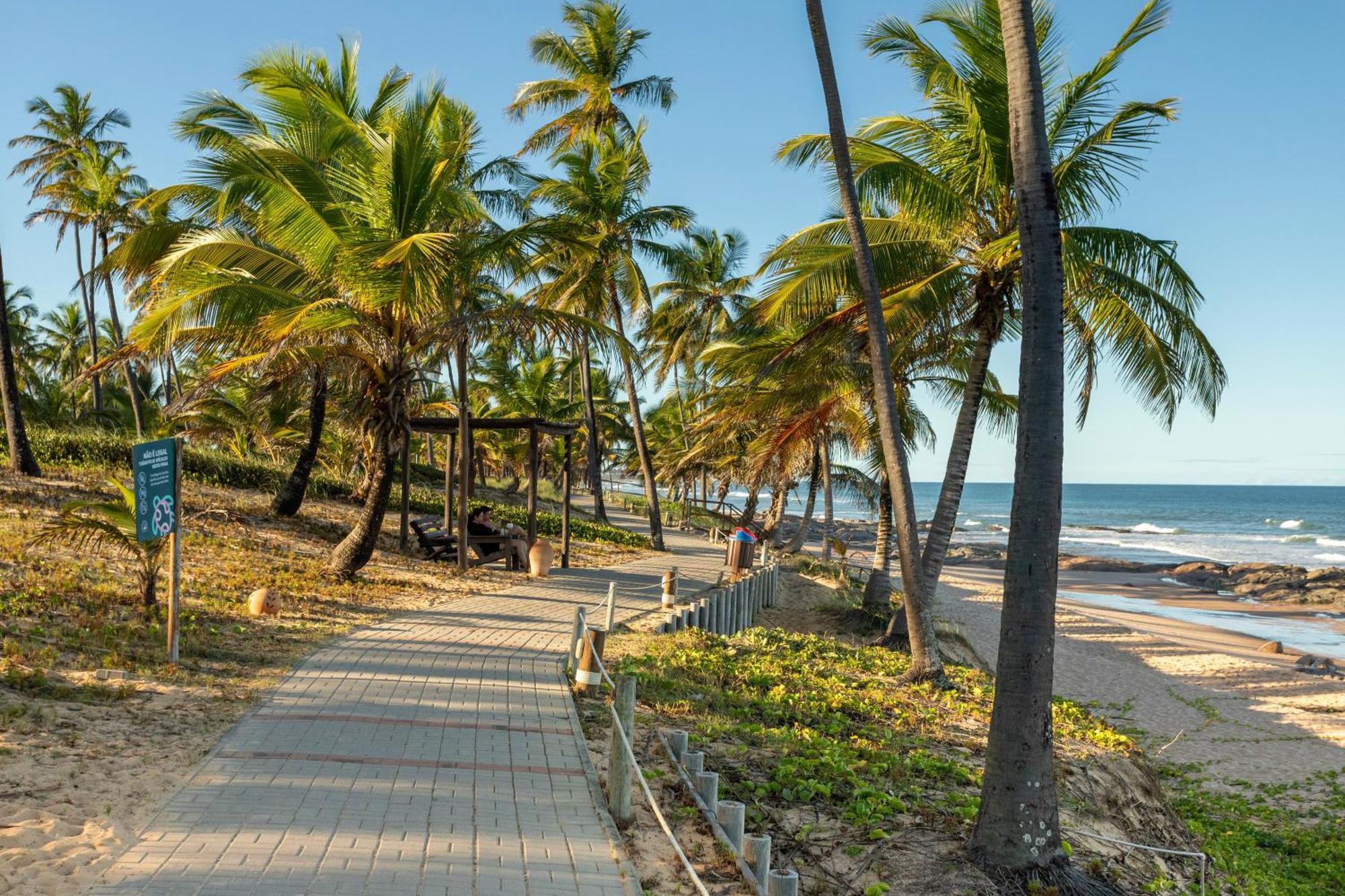 Sauipe Resorts Ala Terra 科斯塔萨乌佩 外观 照片